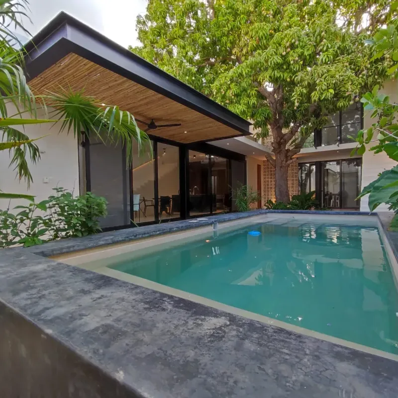 Casa Mango
