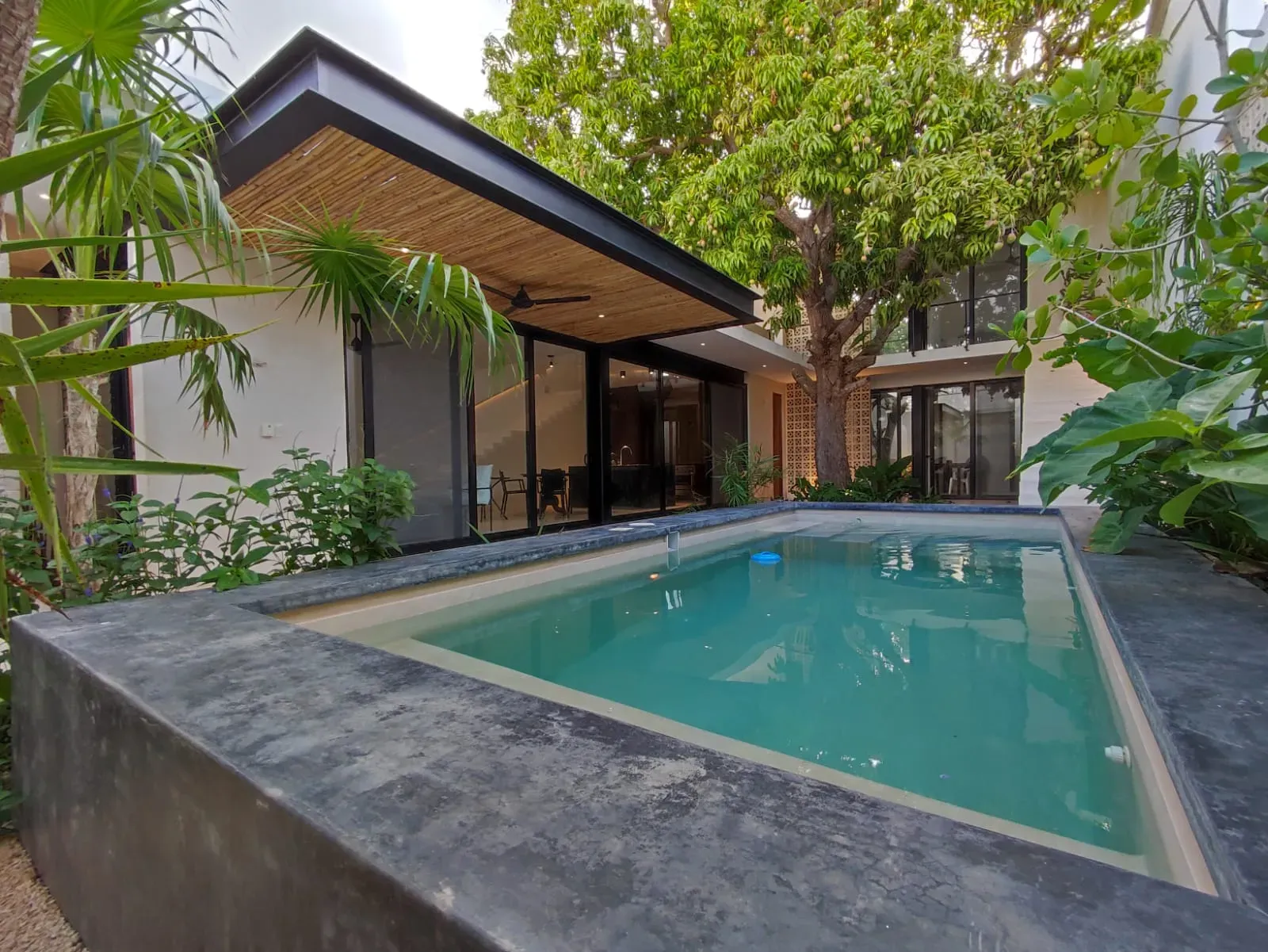 Casa Mango